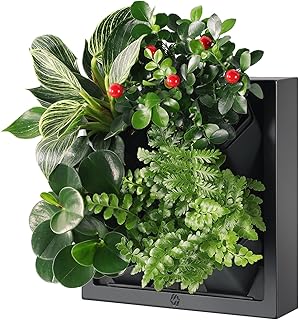 Wall-Mounted Vertical Garden Planter – Ready-to-Use Indoor Wall Planter ...