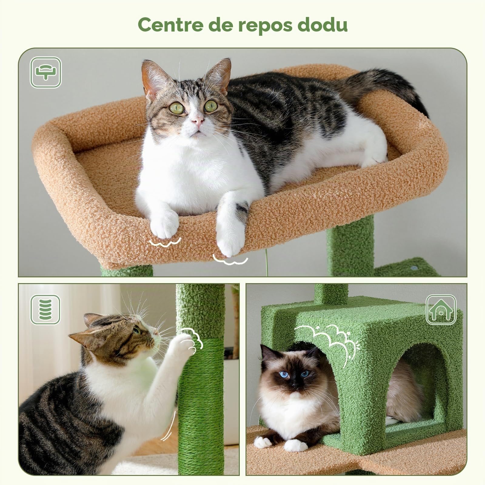 PAWZ Road Arbre a Chat Cactus 143 cm avec Hamac, Griffoirs et Niche, Vert