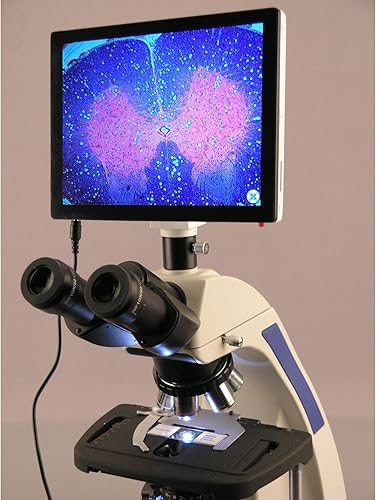 Miniatura 2 de Microscopio trinocular Koehler LED 40X-2500X con el sistema de imágenes de la pantalla táctil