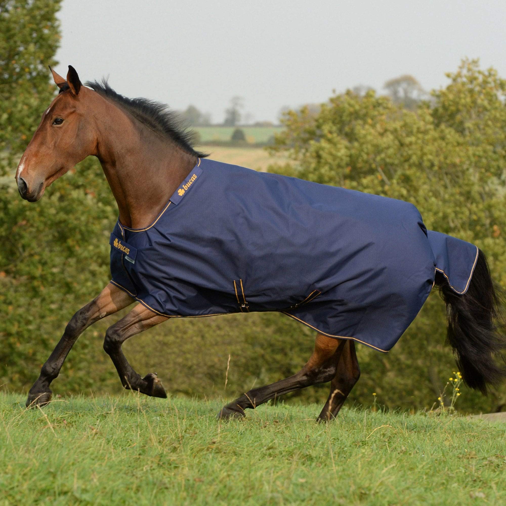 Bucas Irish Turnout 150 g Navy Gold Winterdecke, Regendecke