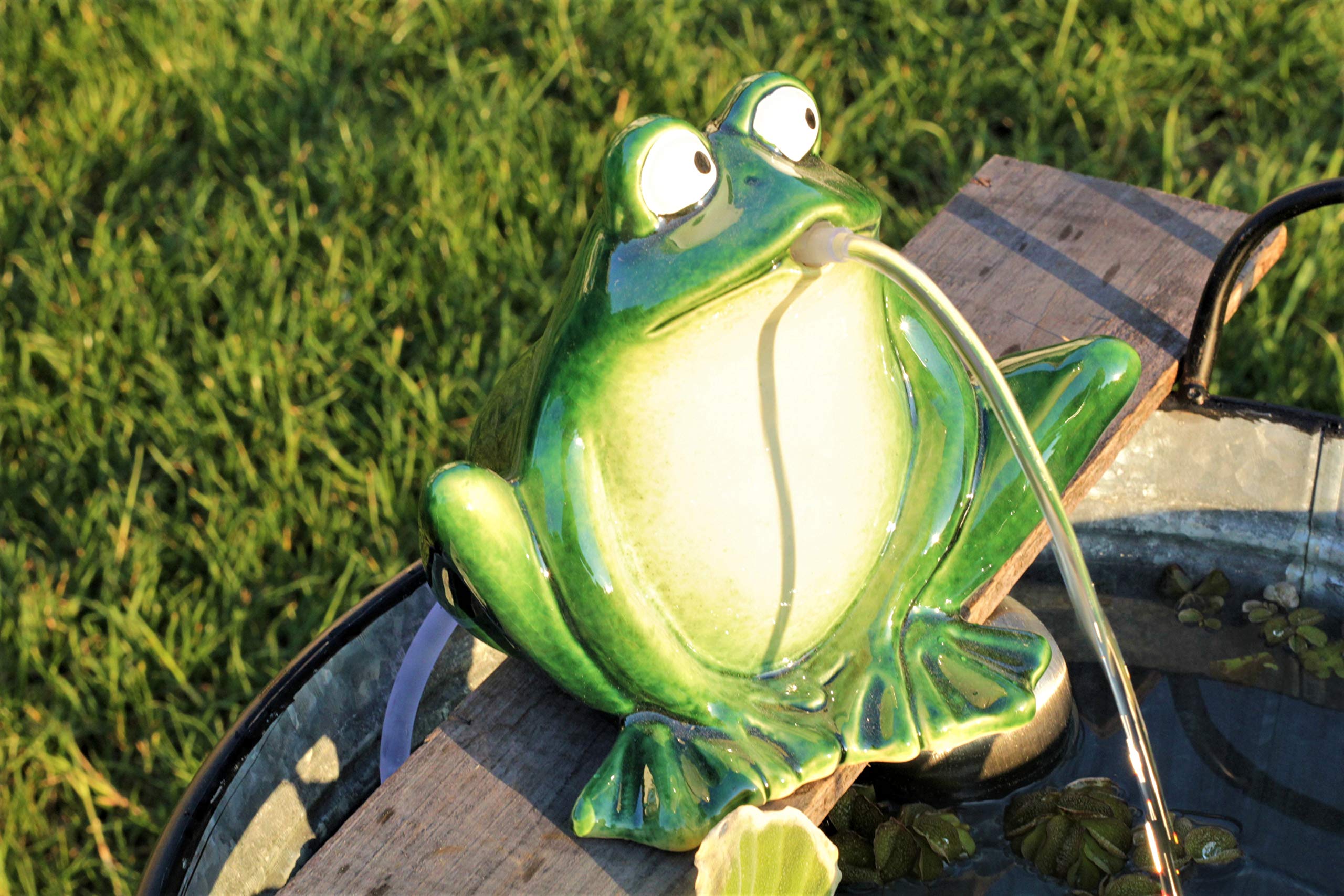 Wasserspeier Frosch 16 cm dk.grün mit Solarpumpe Solaris 170