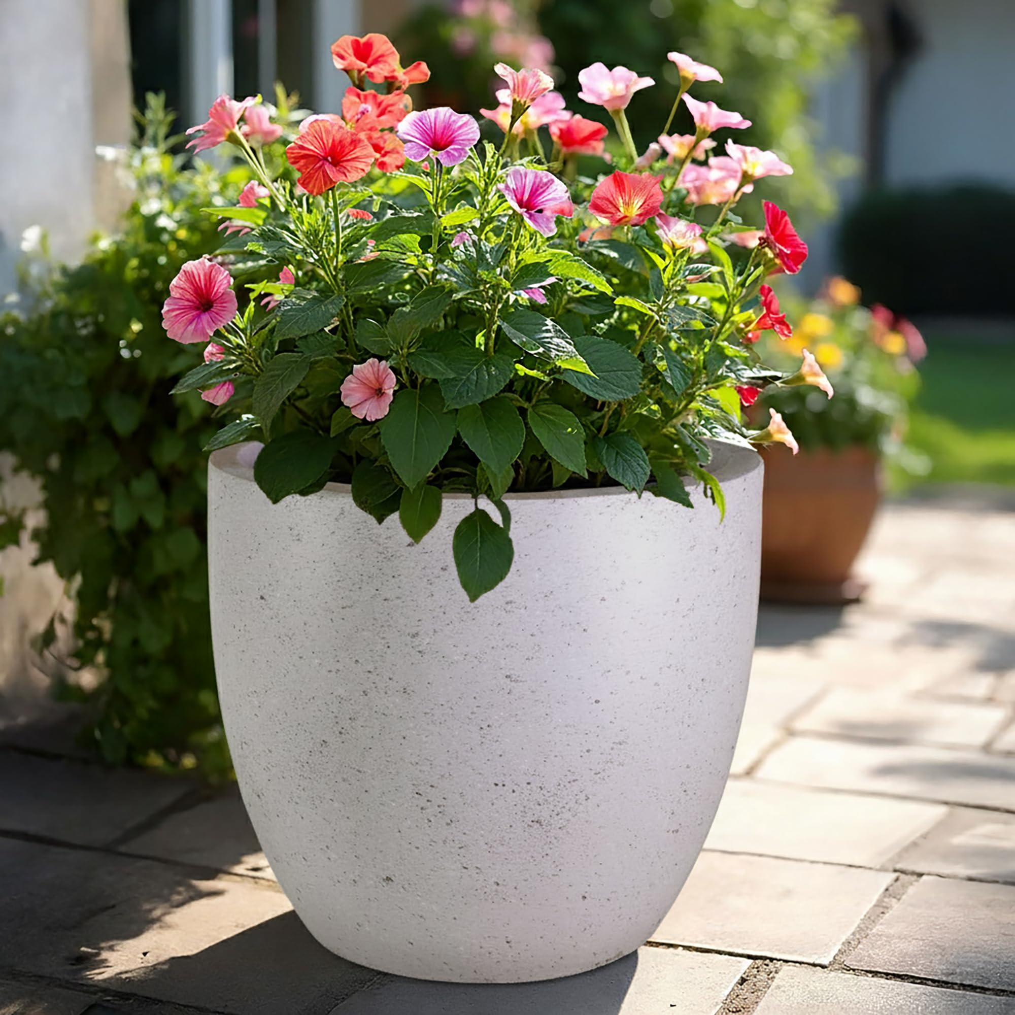 View 7