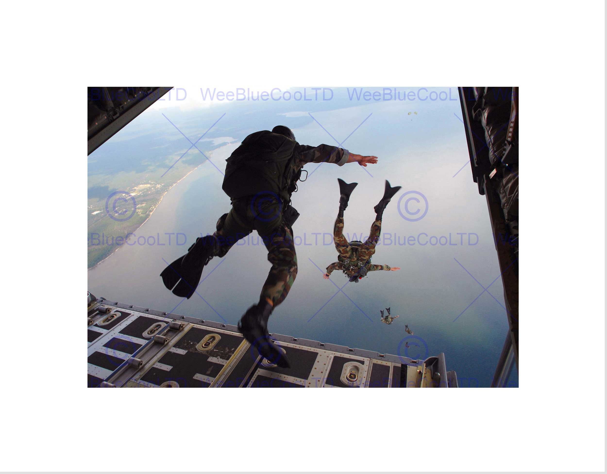 Wee Blue Coo WAR MILITARY ARMY SOLDIER GUN RIFLE WAR MARINE SKYDIVE GROUP ART PRINT B12X4870