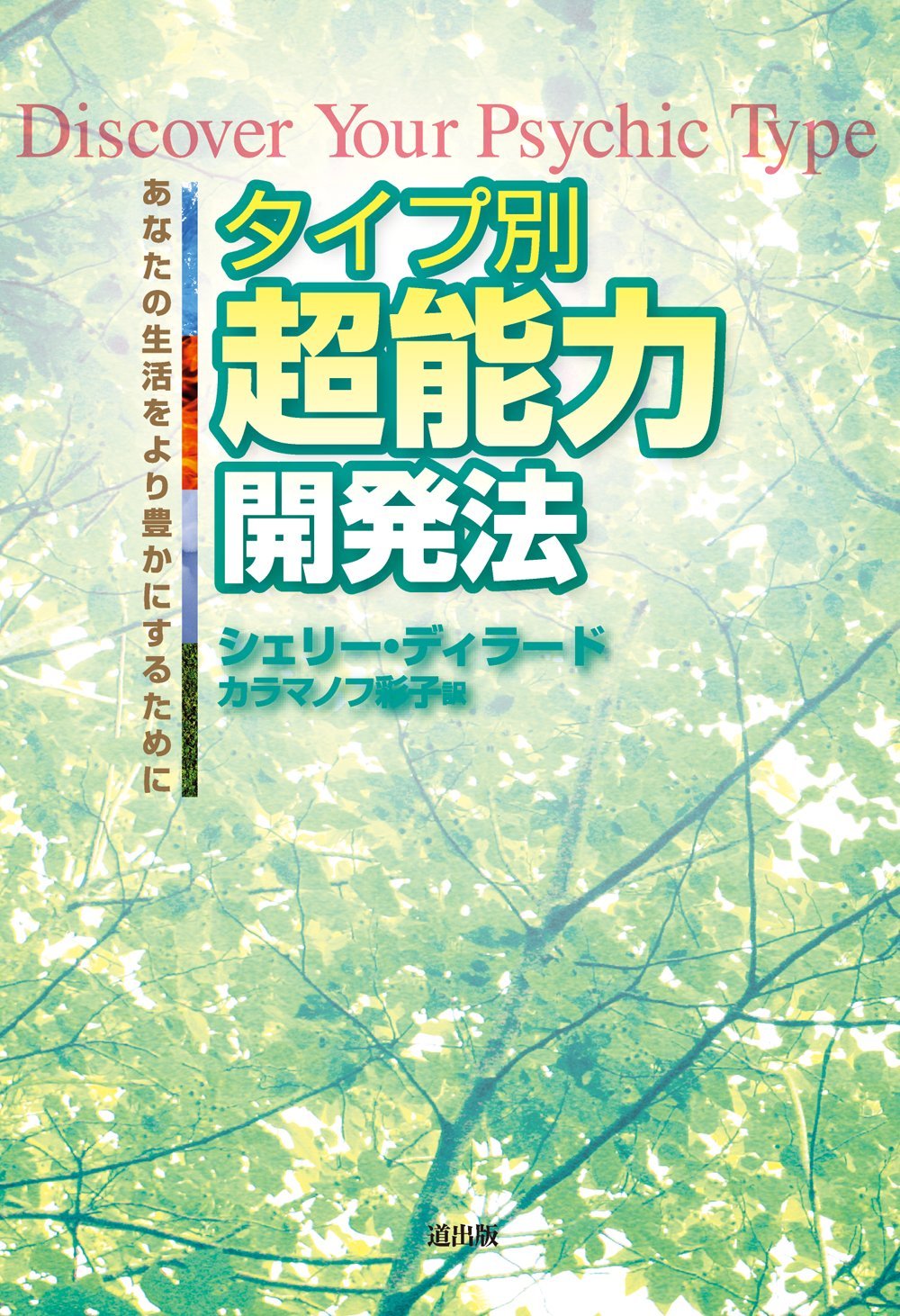 タイプ別超能力開発法 シェリー ディラード カラマノフ彩子 本 通販 Amazon