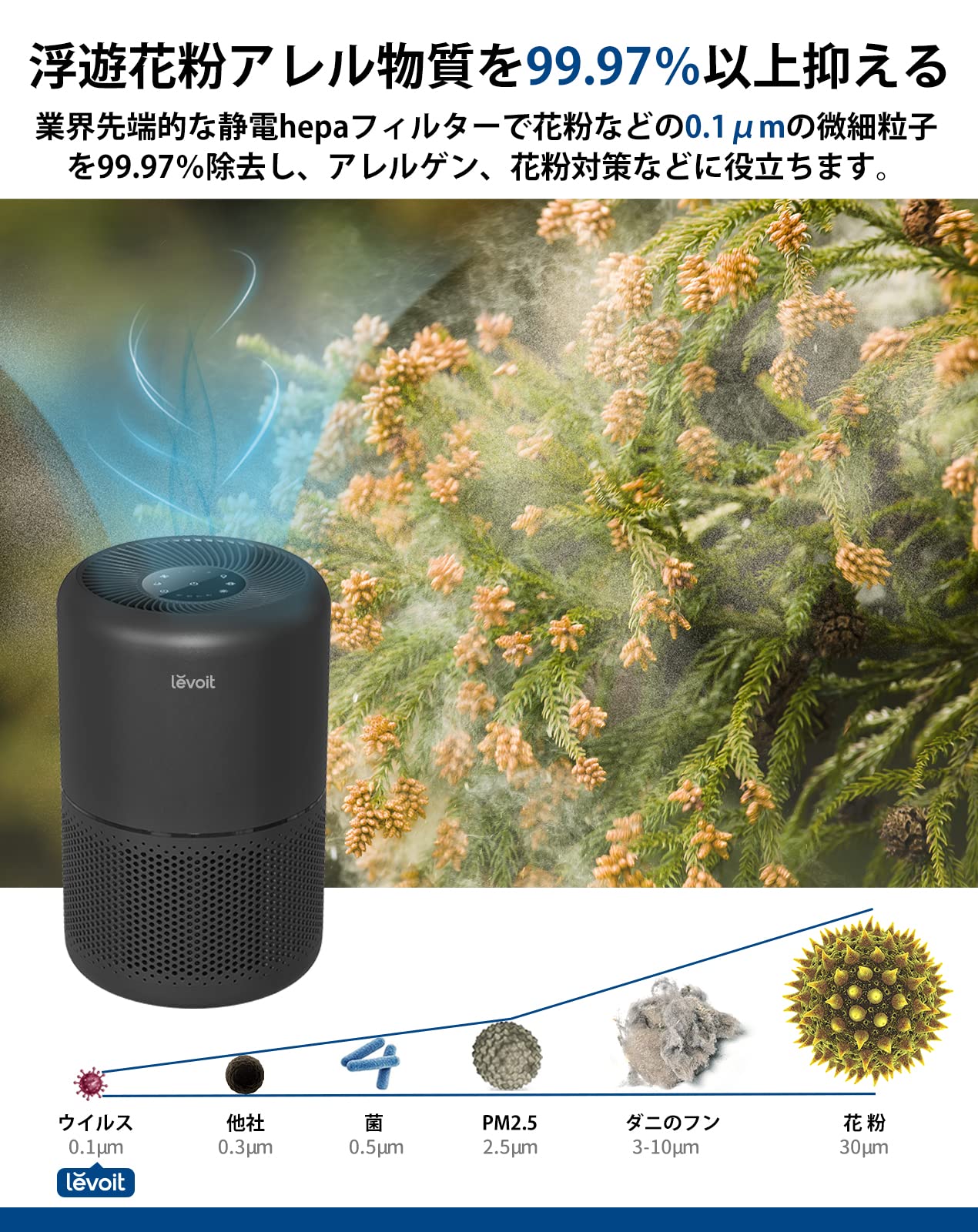Amazon.co.jp: Levoit 空気清浄機 300 ブラック : ホーム＆キッチン