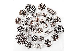 Whaline 43pcs Christmas Pinecones