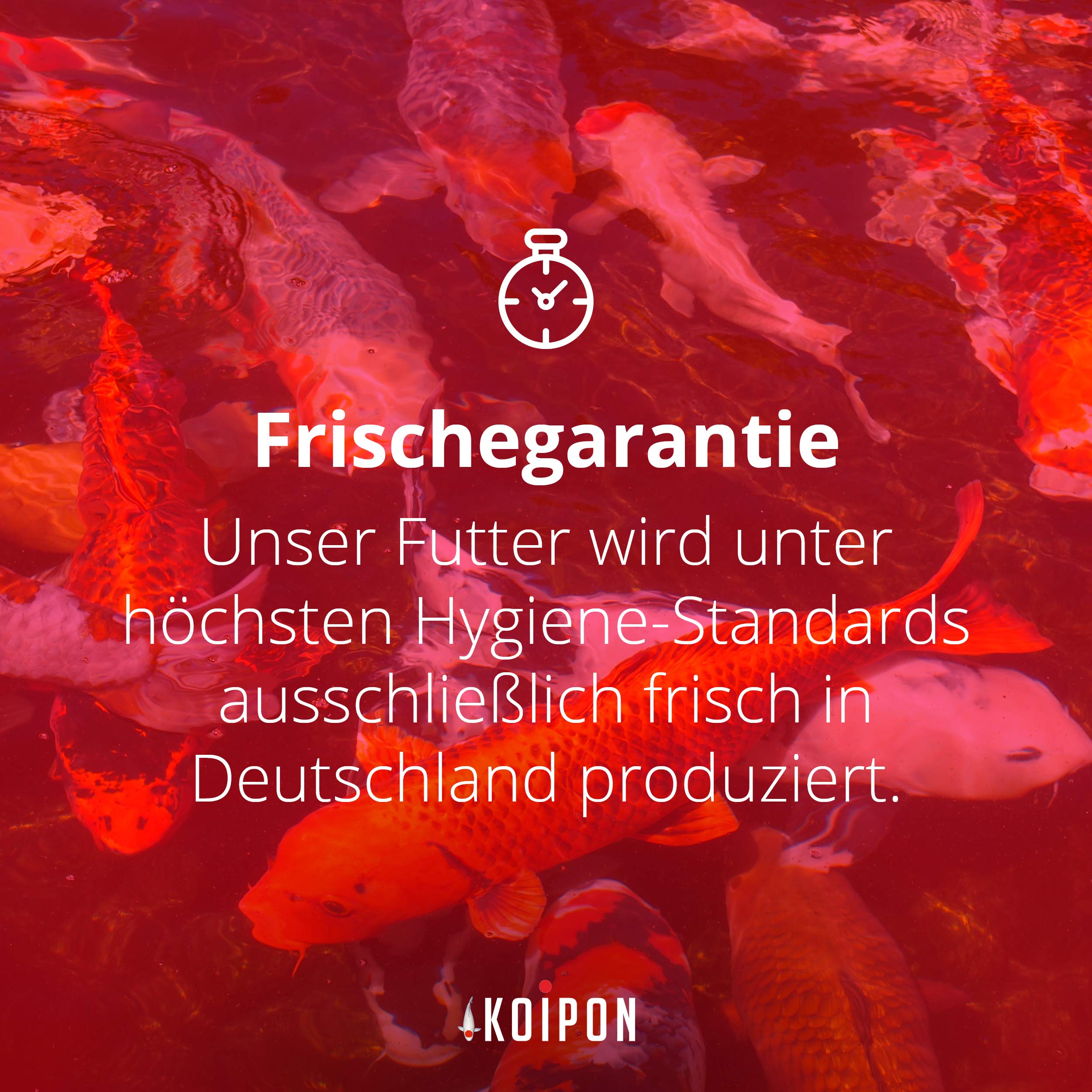 KOIPON Condition Koifutter 3,5 kg 6 mm Frühjahr & Herbst, schwimmend | Leicht verdauliches Frühjahrs- & Herbstfutter, schwimmende Pellets – für japanische Koi, auch für Goldfische