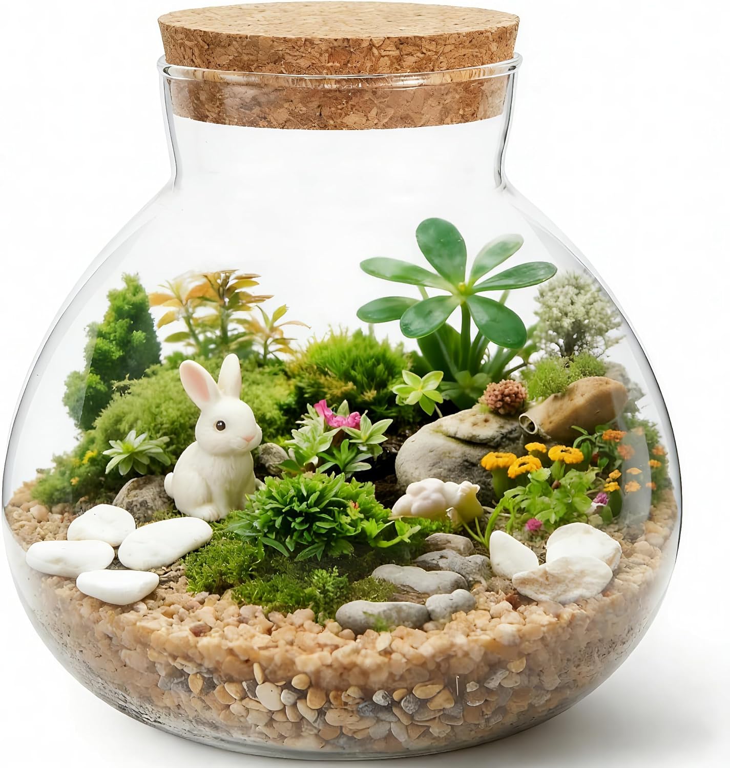 NUOBESTY Glass Terrarium Jar with Cork Lid, 6x6.3 Inch Closed Terrarium for Succulent Moss and Fern, DIY Miniature Desktop Garden for Home & Office Decor (No Plants)