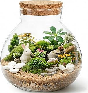 NUOBESTY Glass Terrarium Jar with Cork Lid, 6x6.3 Inch Closed Terrarium ...