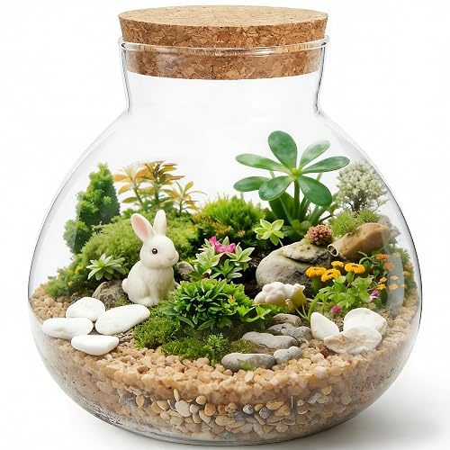 NUOBESTY Glass Terrarium Jar with Cork Lid, 6x6.3 Inch Closed