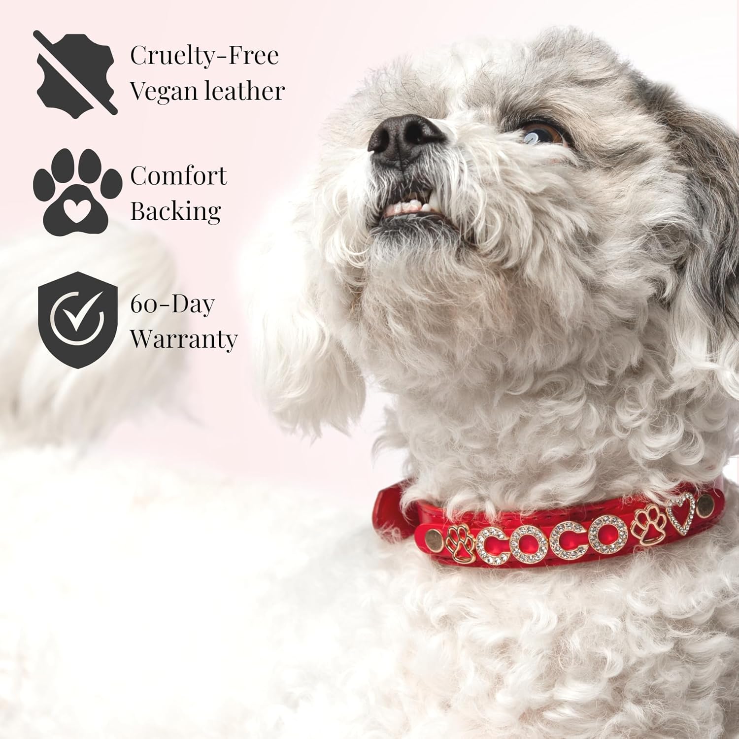 Paws Paws Miami Custom Dog Collar – Personalized with Name & Charms, Gold-Plated Cubic Zirconia Jewelry, Premium Vegan Leather Collars for Small, Medium, and Large Girl Dogs