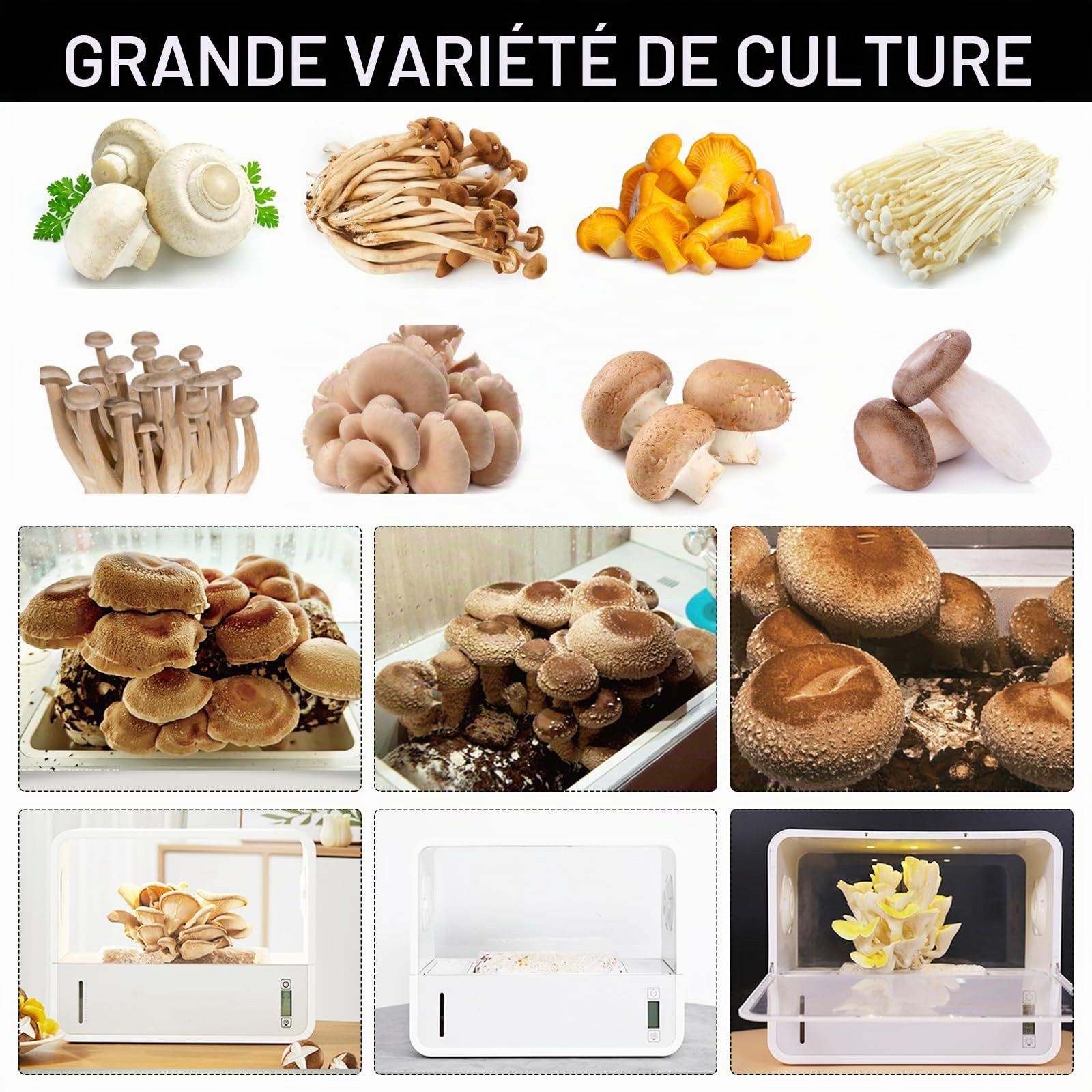 Kit Champignons à Faire Pousser, Tente de Culture de Champignons avec Affichage de la Température et de l'humidité, Boîte de Culture de Champignons, Stations de Propagation de Hotte de Mycologie