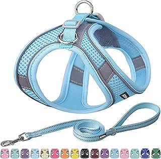 AIITLE Hundegeschirr, No-Pull Katzengeschirr mit Einer Leine, einstellbare reflektierende Hundeweste, Welpengeschirr Escape Proof für extra kleine Hunde und Hauskatzen Reines Blau XXXS product image