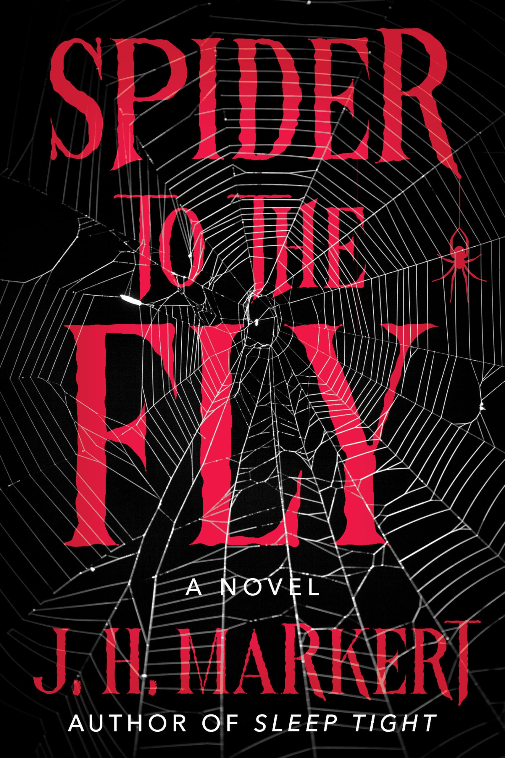 Spider to the Fly: A Novel