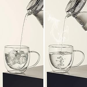 CNGLASS 8.5oz Glass Coffee Mug,Double Wall Insulated Glass Mugs with Handle,Clear Espresso Mugs for Latte,Cappuccino,Tea Bag,Set of 4