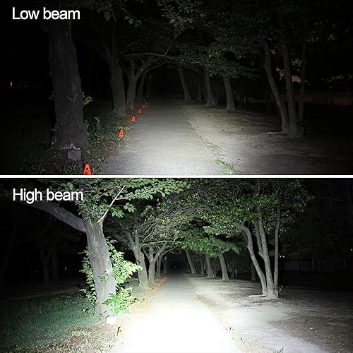 Miniatura 7 de Bombilla halógena para faros delanteros con luz súper blanca P20D 12 V60 W 5000 K, 2 unidades, larga vida útil