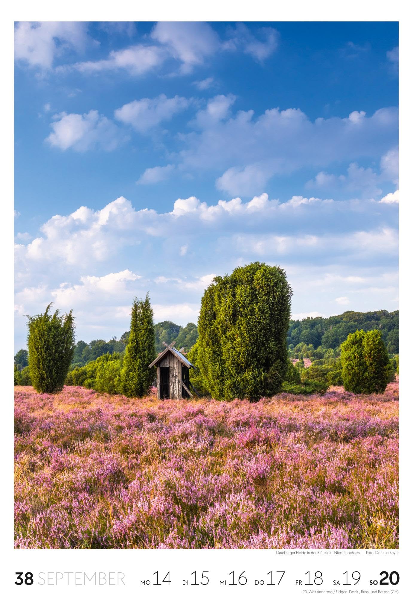 Natur Wochenkalender 2026 | Natur-Kalender mit 53 großformatigen Bildern im Hochformat (29x42 cm) | Heimische Flora und Fauna