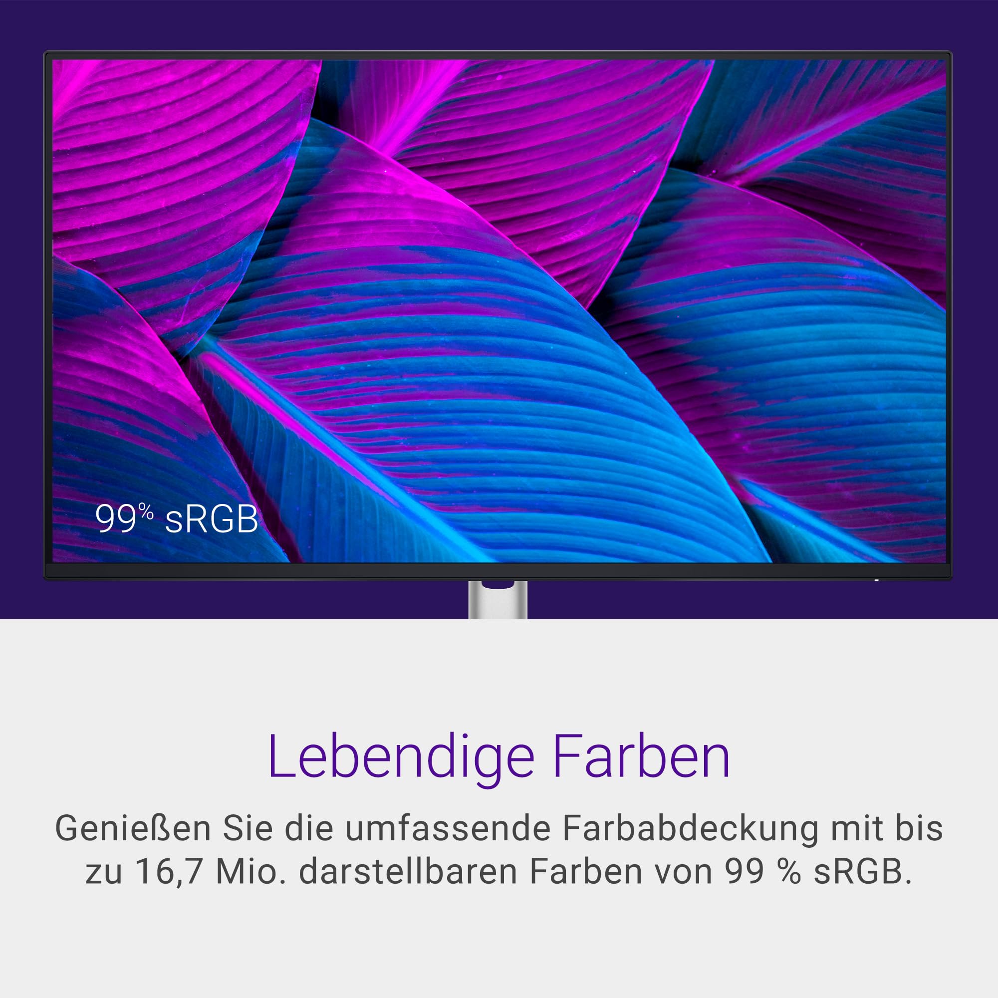 Dell P2425H 24 Zoll Full HD Monitor, 100Hz, IPS, 5ms, 99% sRGB, USB-C, DisplayPort, HDMI, VGA, Schwarz