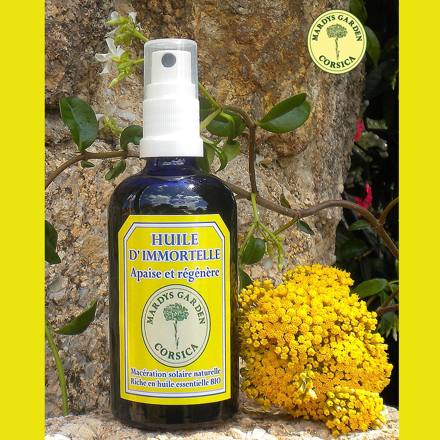 Immortelle-Öl aus Korsika, 100 ml – BIO Helichrysum italicum Blütenöl mit ätherischem Öl. Beruhigt und regeneriert.