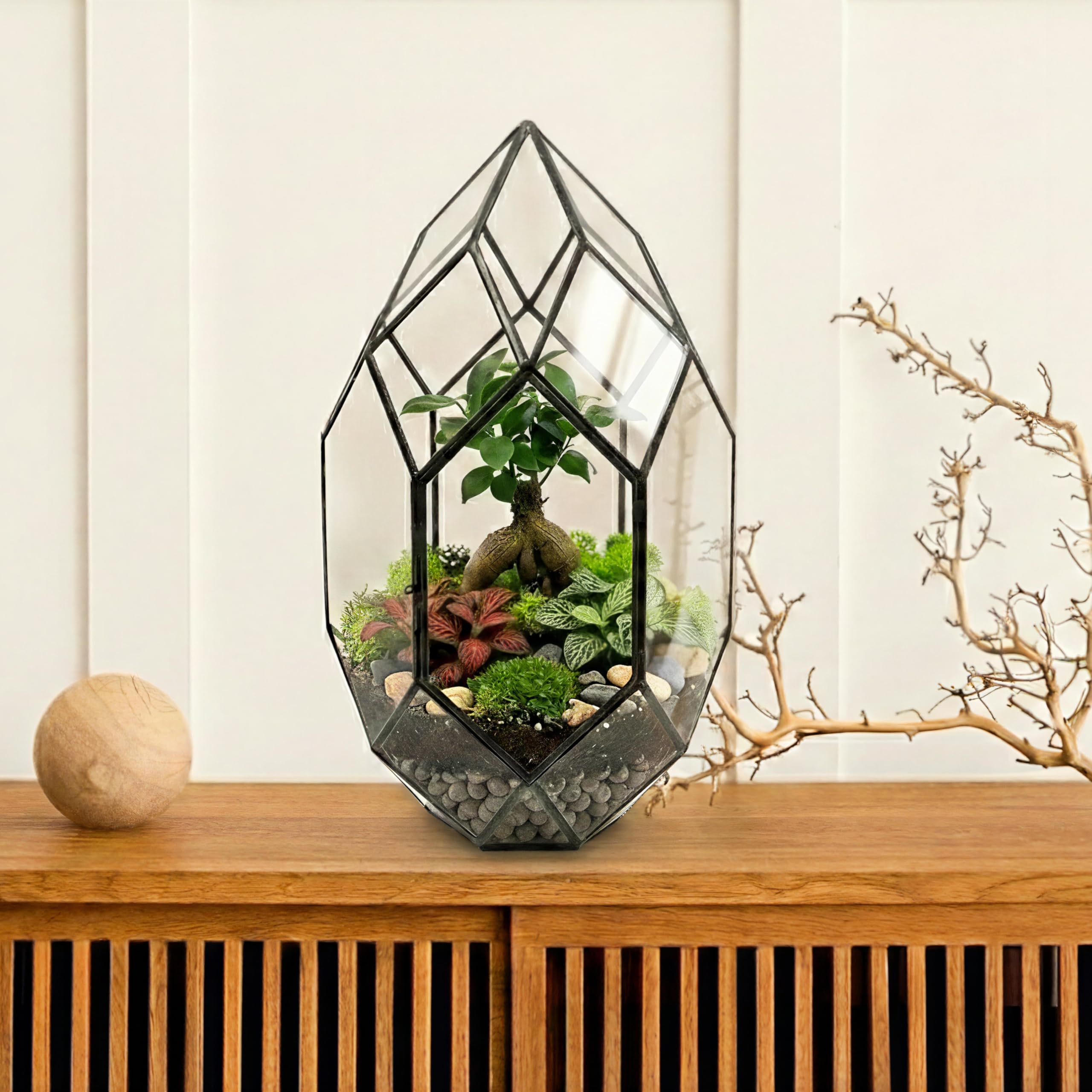 PLUXEA - Kit de Terrarium Complet DIY pour Plantes avec Substrat et 10 Outils Inclus - Structure en Verre Design Géométrique - Écosystème Autonome, Coffret Créatif (sans Plantes)