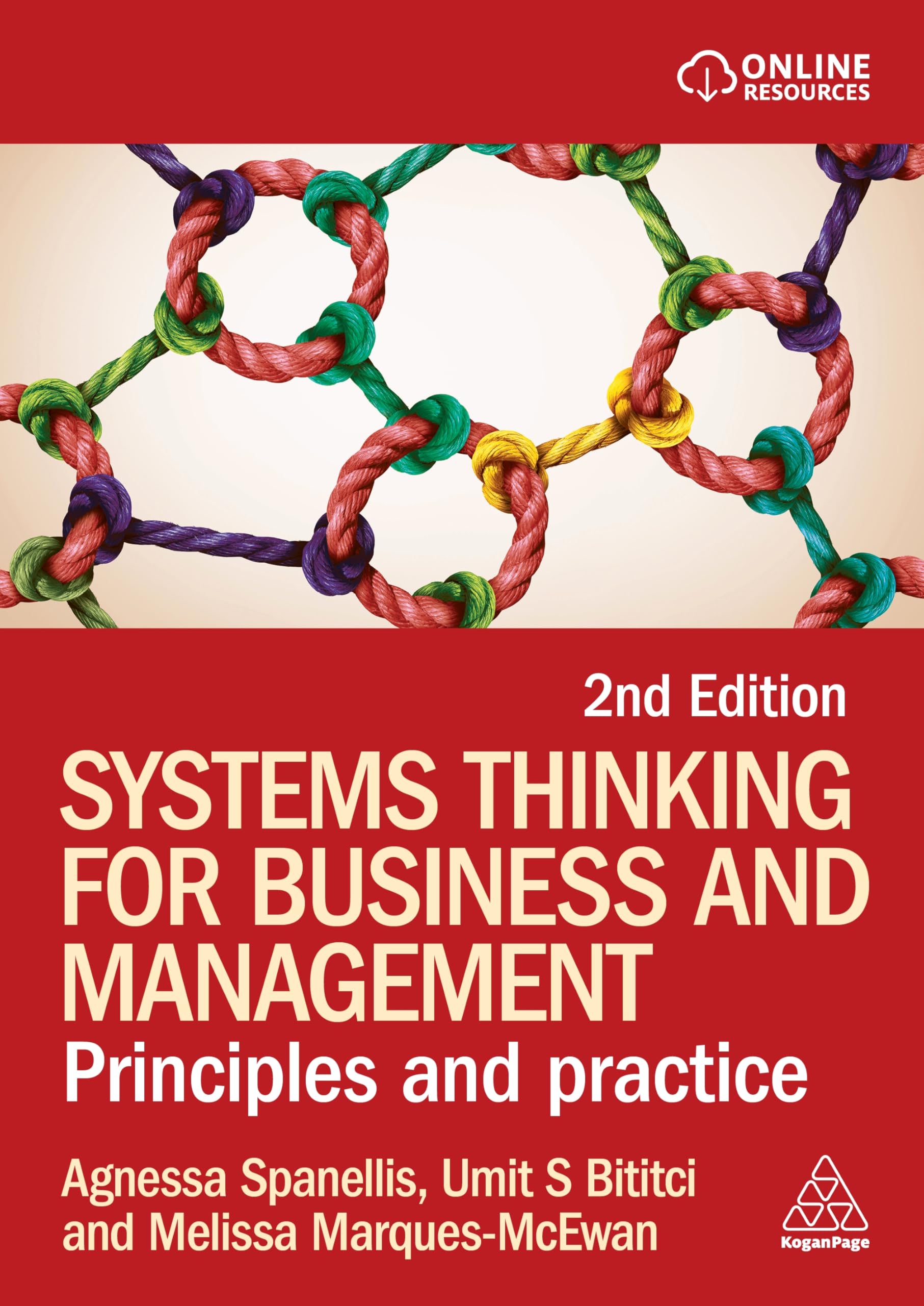 Systems Thinking for Business and Management: Principles and Practice