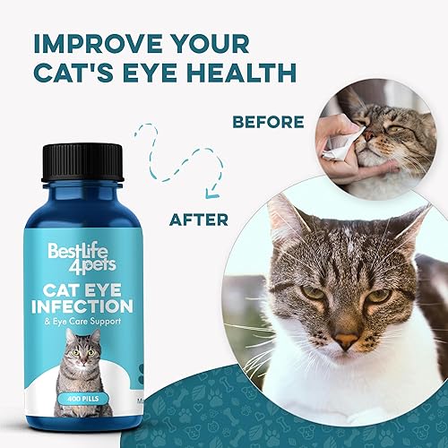 Miniatura 4 de Cuidado de los ojos y soporte de visión para gatos  El tratamiento holístico de infección de ojos de gatito ayuda con la conjuntividad, hinchazón,
