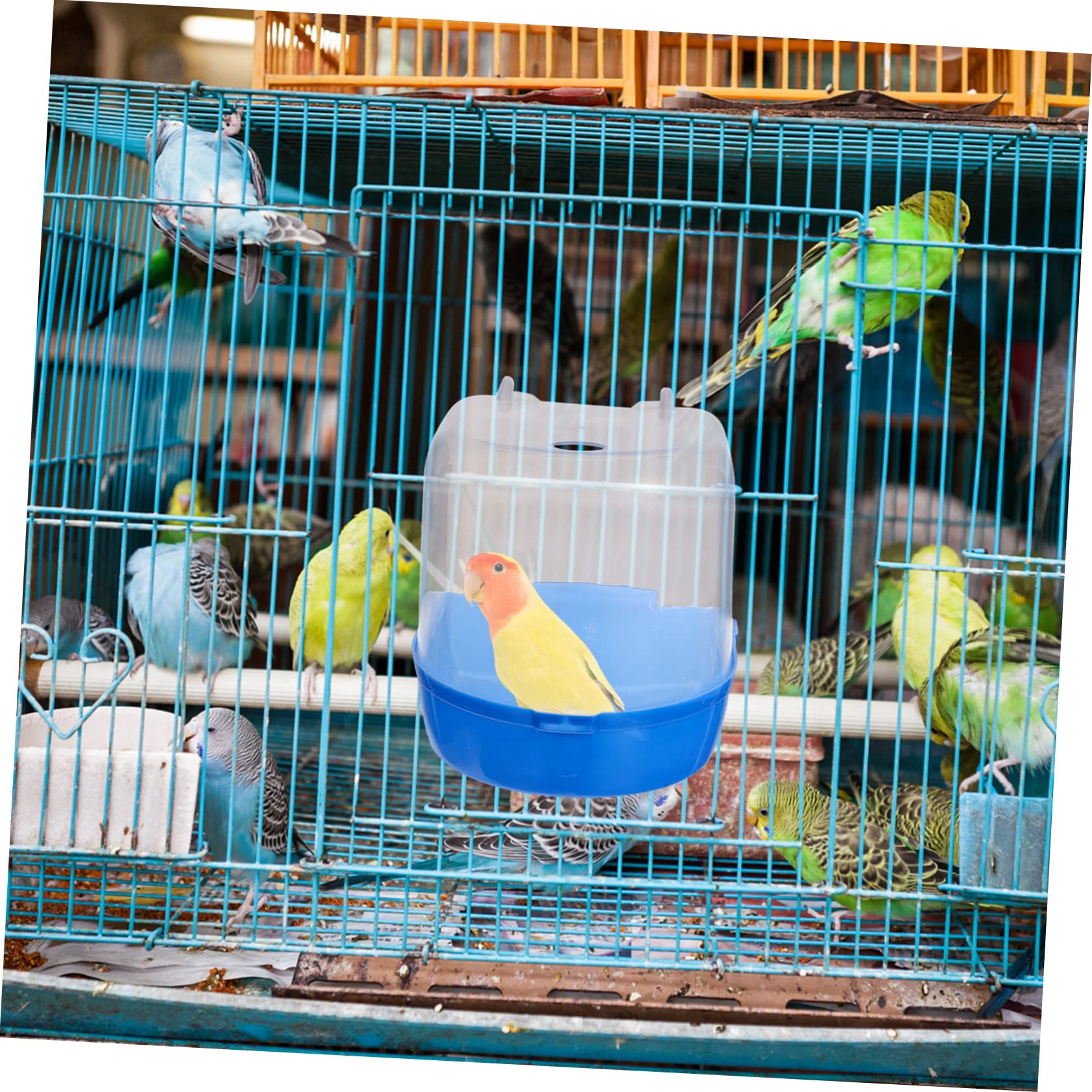 Amosfun 4stücke Vogel Hängend Kunststoff Parakeet Duschbox Für Käfig Für Kleine Vögel Wie Wellensittiche Und Kanarienvögel Mit Bunten Designs Grün Blau