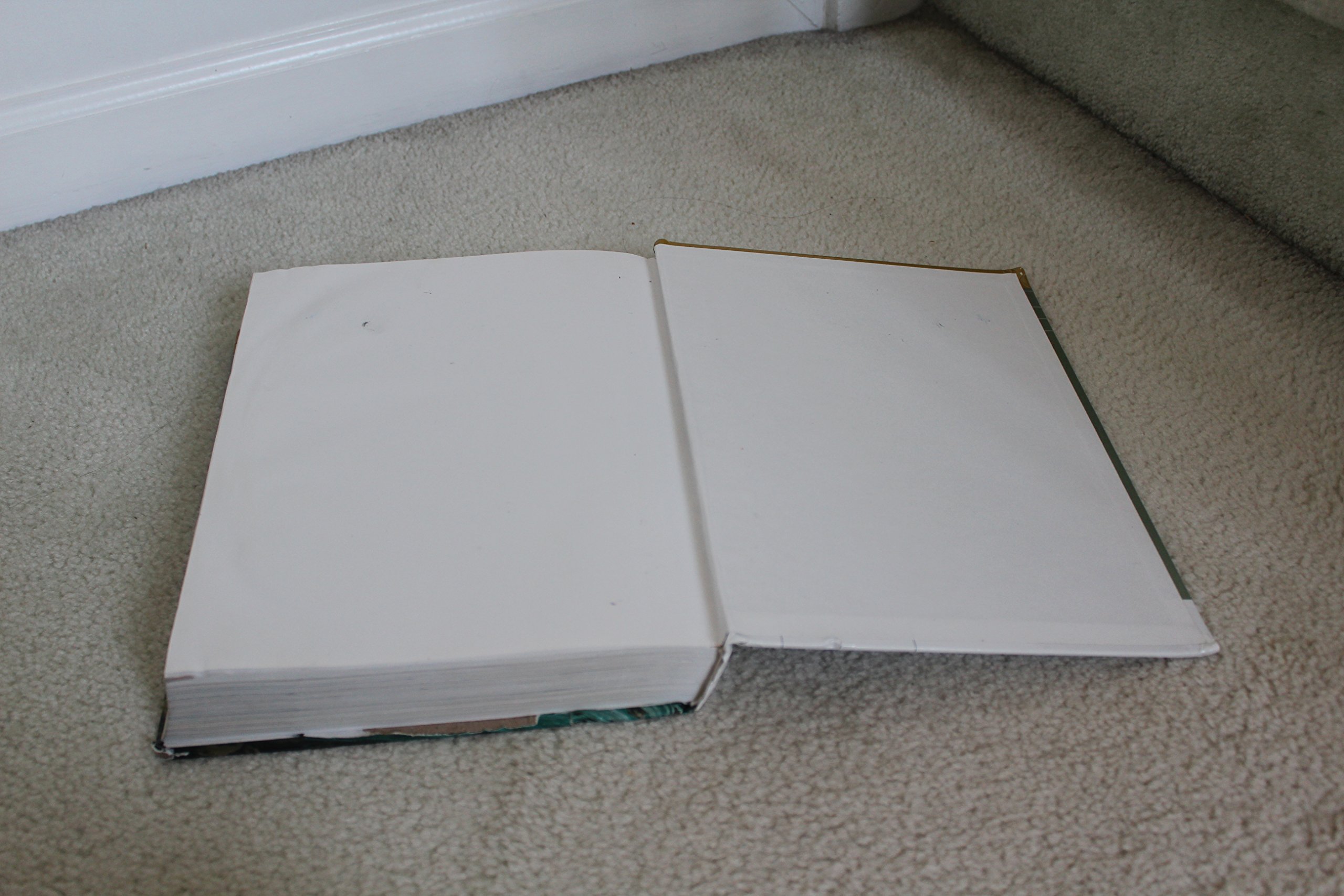 Earth & Its Peoples, AP Edition - Image 8