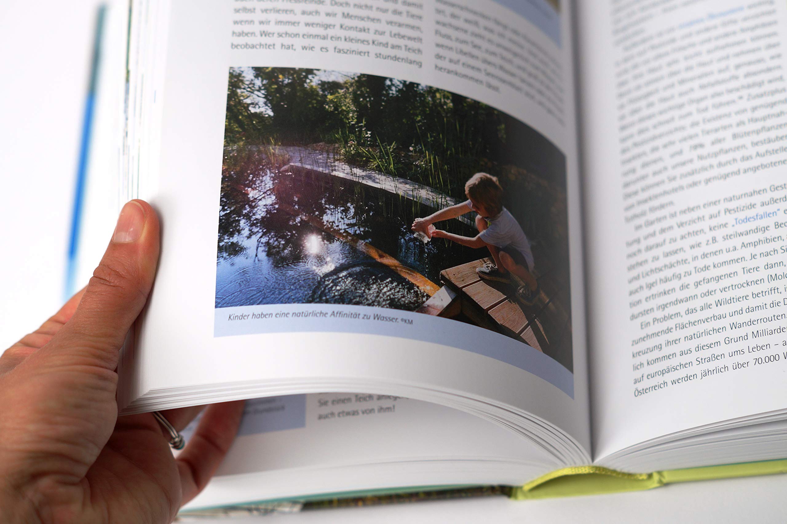 Handbuch Wasser im Garten. Wasser sparen, nachhaltig nutzen, Teiche und Biotope planen und anlegen