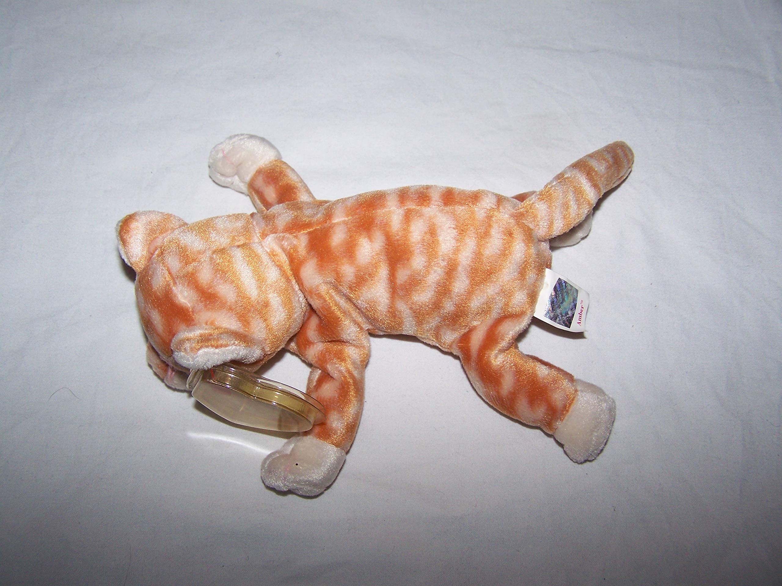 ty tabby cat