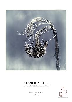 テアトロ・グレコの風景画 (エッチング) テアトロ・グレコの風景