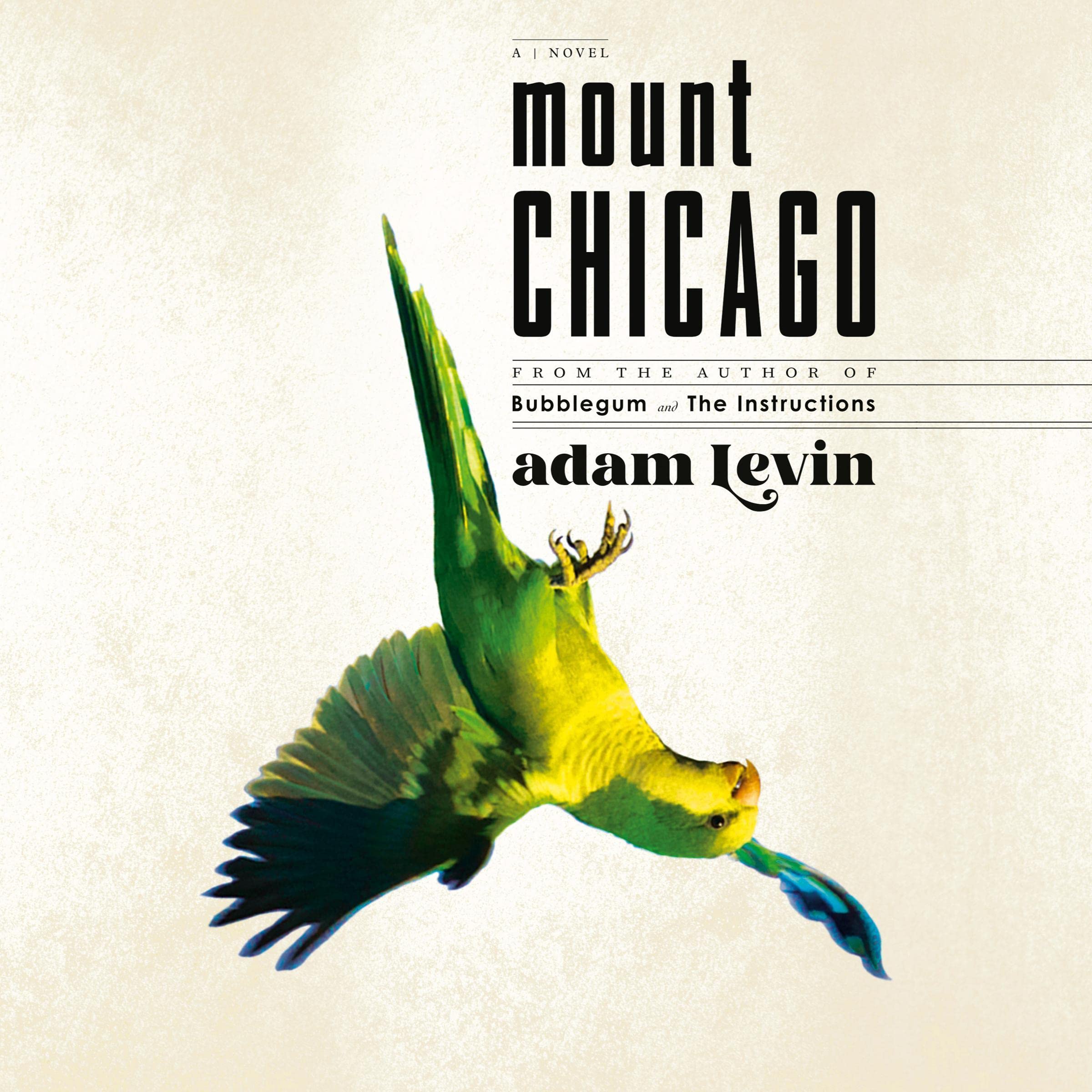 Cover art for Mount Chicago