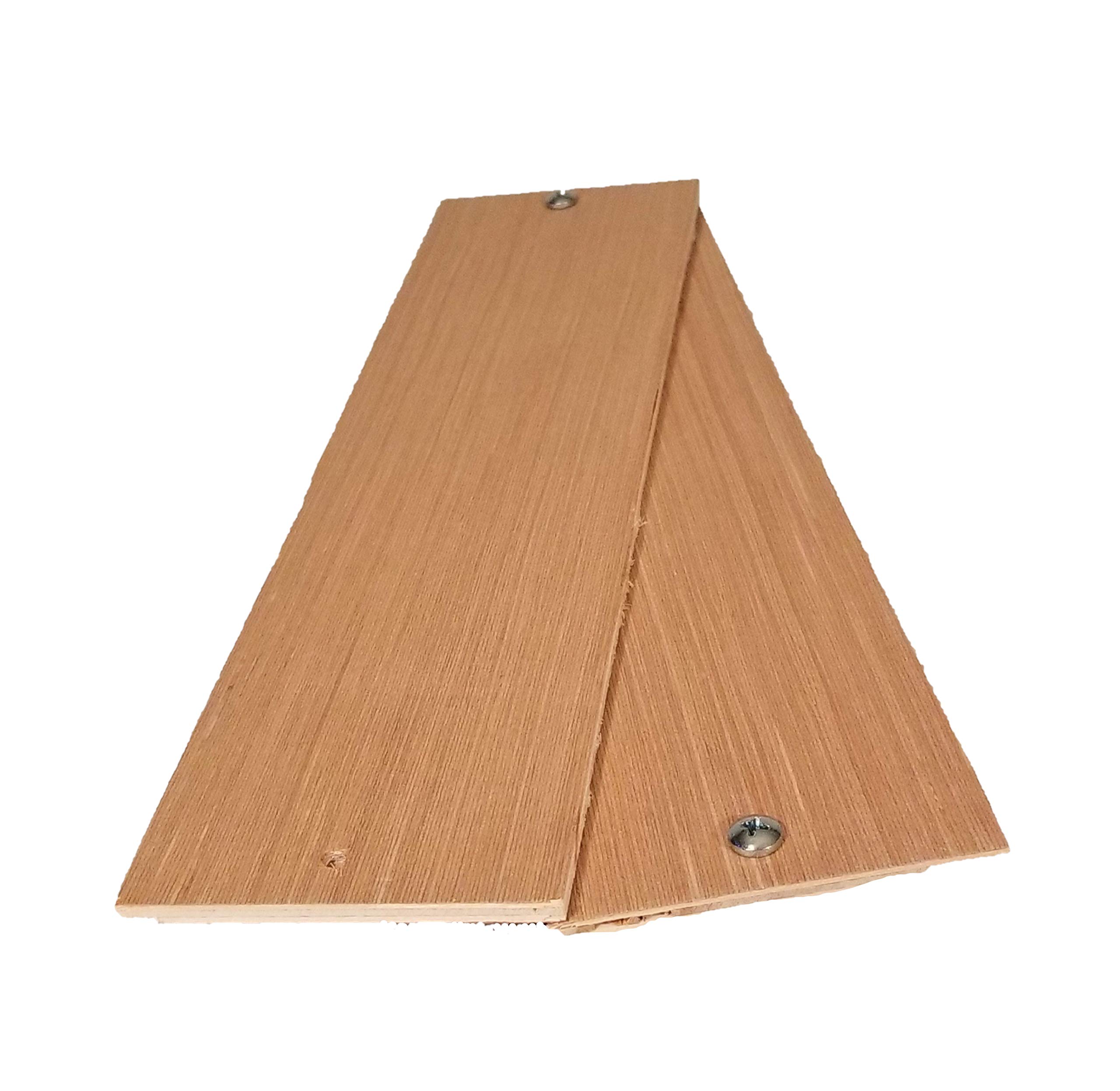 Drop In The Bucket Multiple Catch Animal Trap For Rodents 1 pk Buy