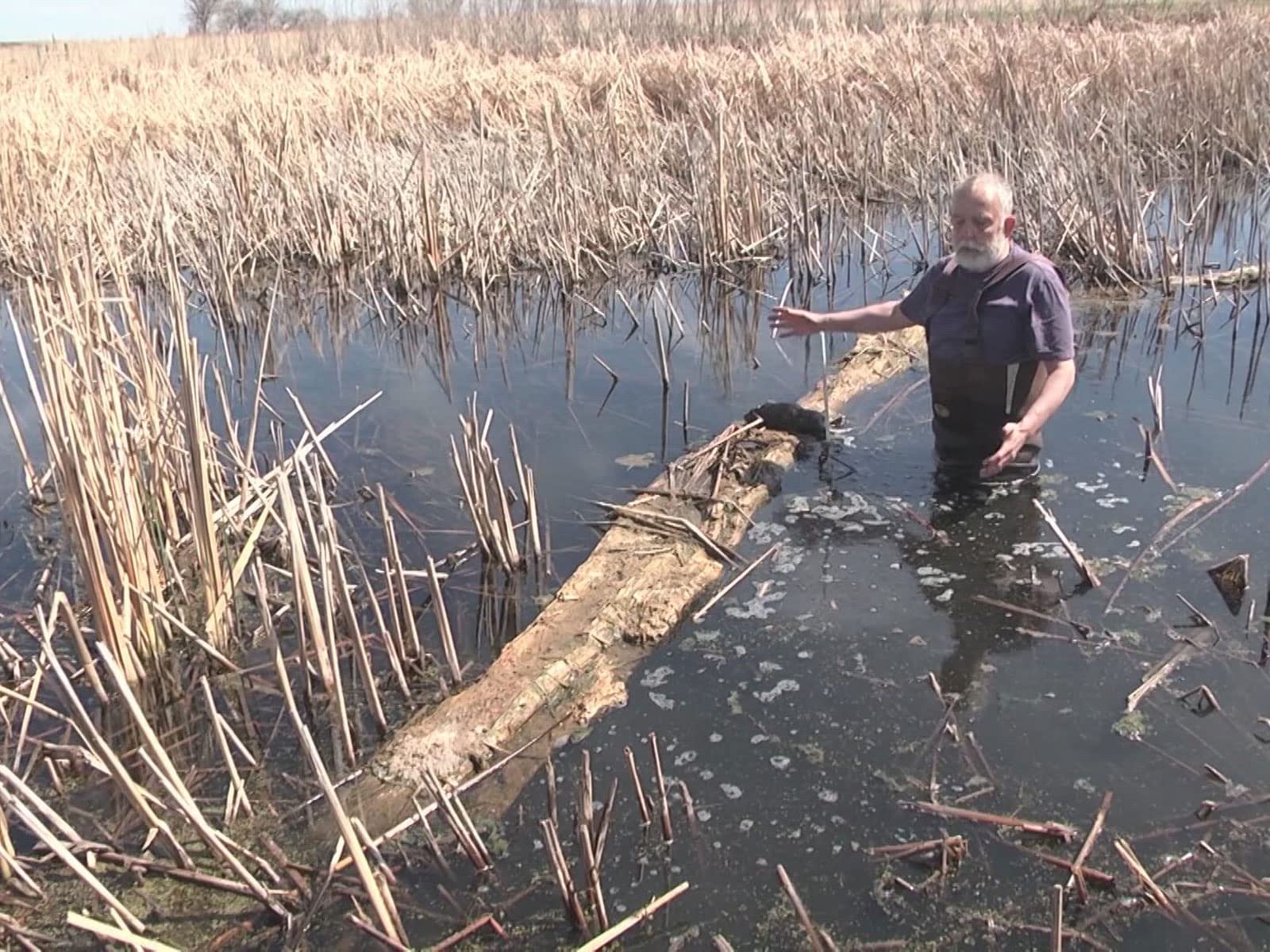 Watch North American Trapper Season 1 Prime Video