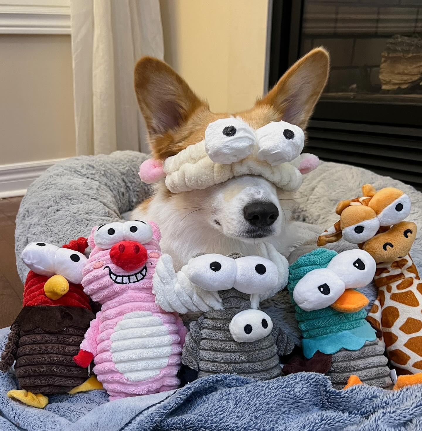 Nocciola 5 Packs Quietschendes Hundespielzeug, 5 Lustige Seltsame Quietschen für Verschiedene Tiere, Unzerstörbares Kuscheltier für Welpen, Plüsch-Spielzeug für Kleine, Große Hunde