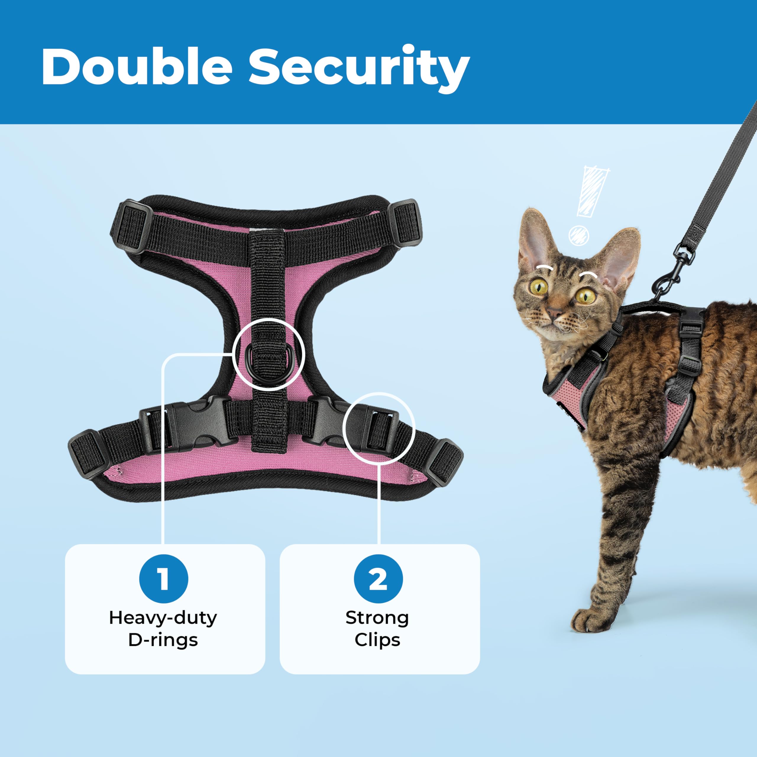 View 5