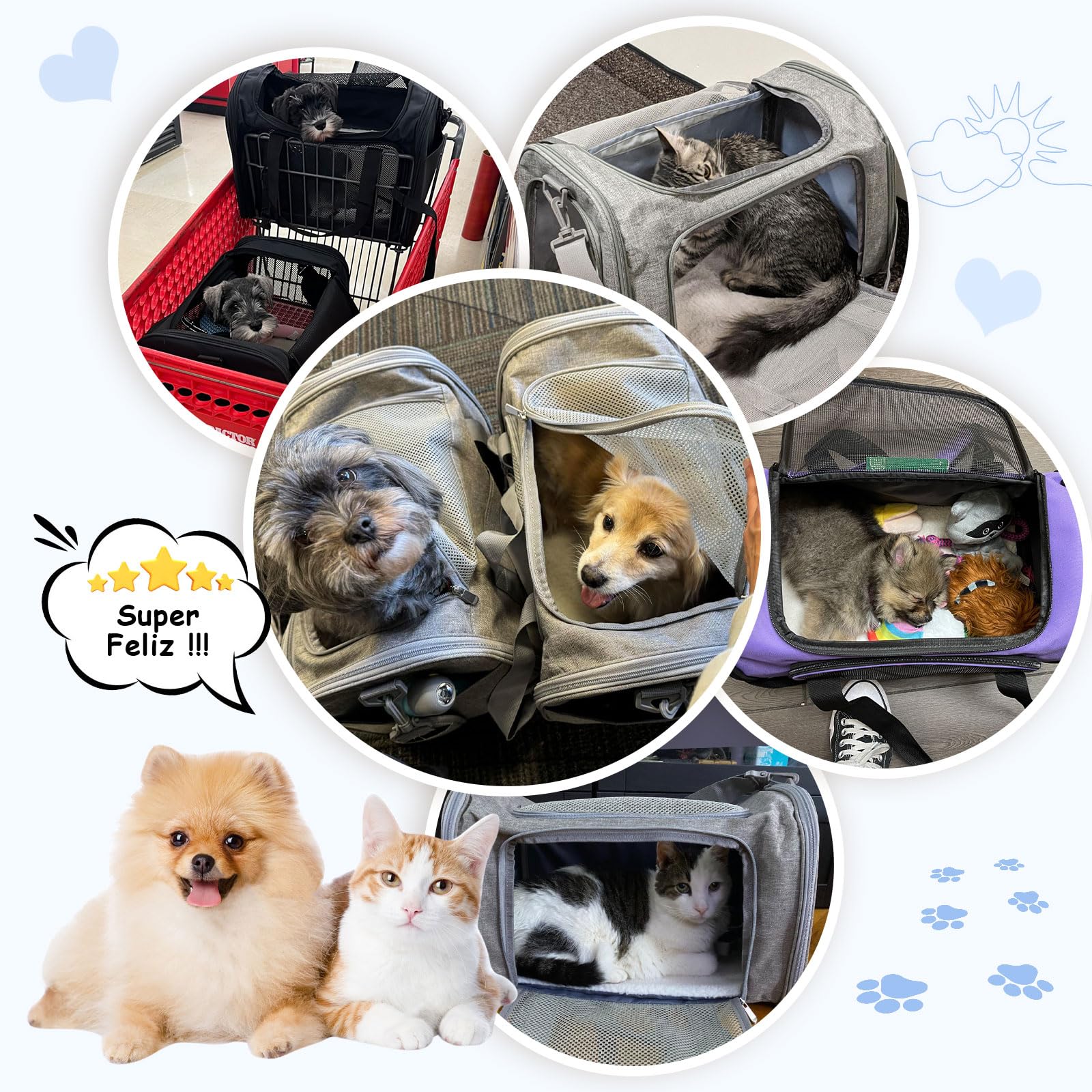 Transporttasche Katze, Transporttasche für Katze Hund bis zu 8kg, tragbare Faltbare Haustier Transporttaschen mit Schultergurt für mittlere kleine Haustiere (Dunkelblau, 50x34x34cm)