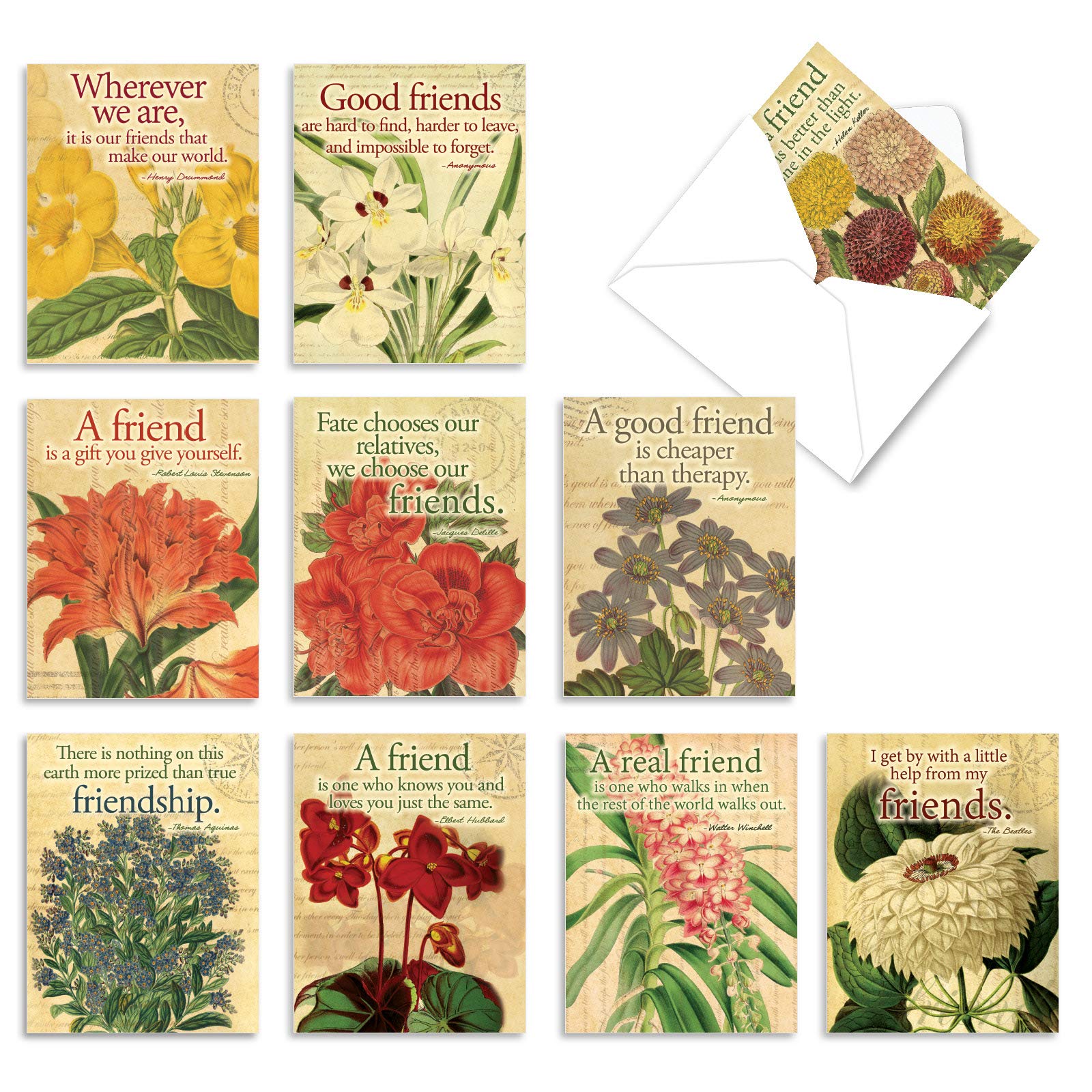 The Best Card Company - 10 Assorted Flower Cards Blank (4 x 5.12 Inch) - All Occasion Floral Greetings Boxed - Say it with Flowers M1710BN