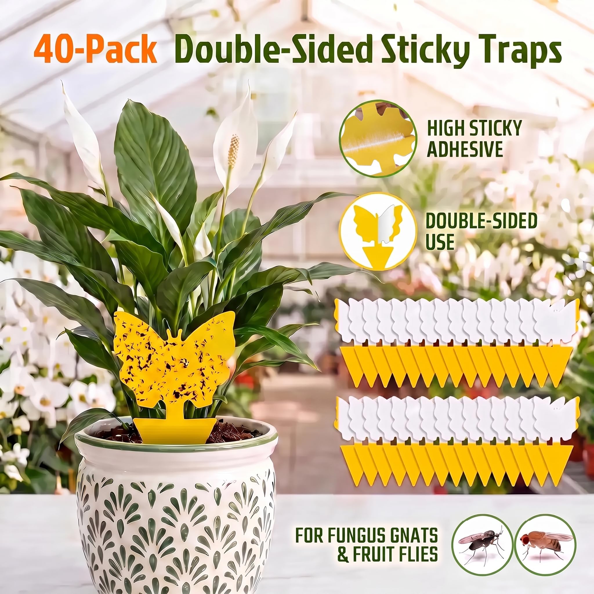 Dwcom 12 Stück klebrige Fruchtfliegen und Pilzmückenfalle gelb Sticky Bug Schädlinge Insektenvernichter für Indoor und Outdoor Zimmerpflanzen