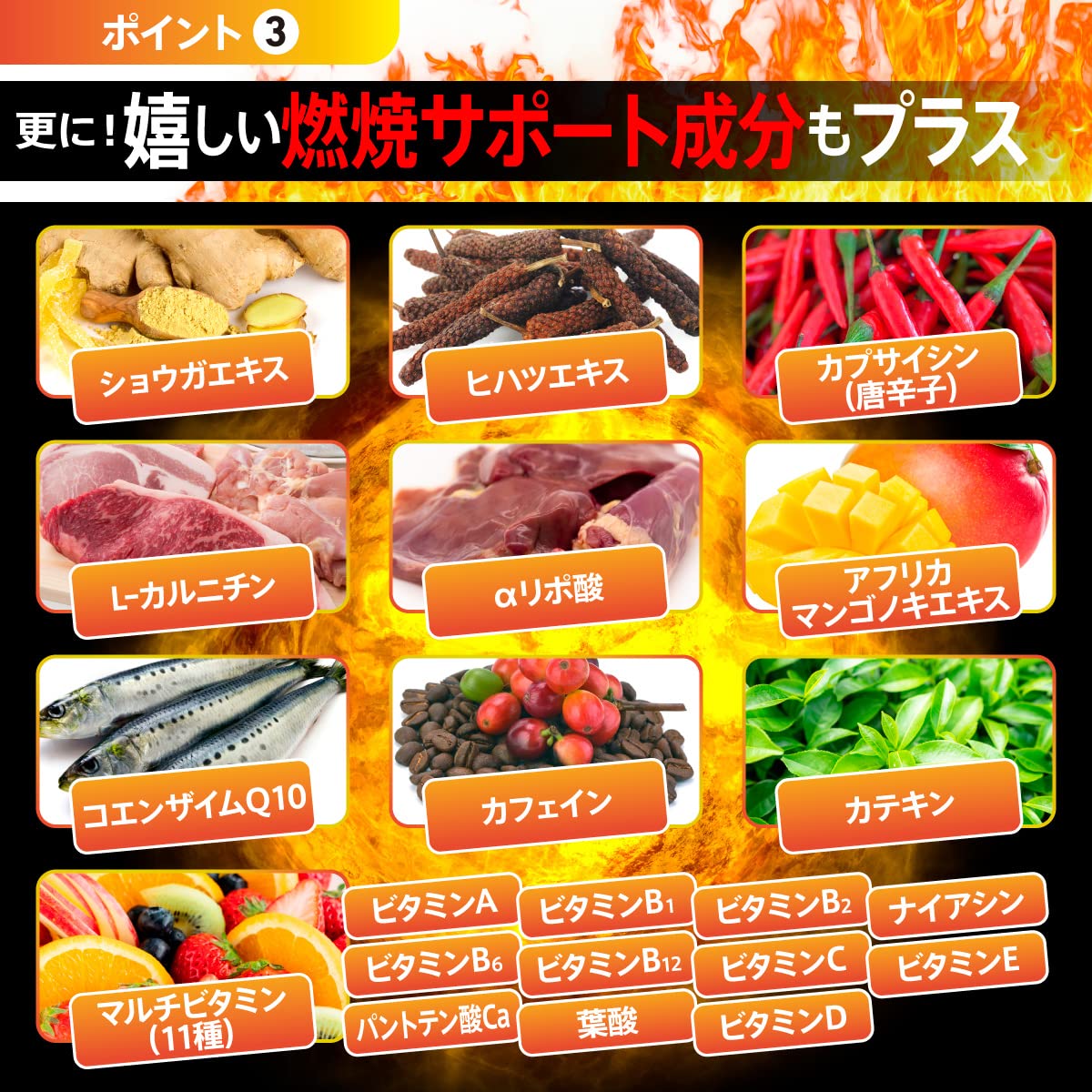 燃焼革命Premium 内臓脂肪燃焼サポート 30日分