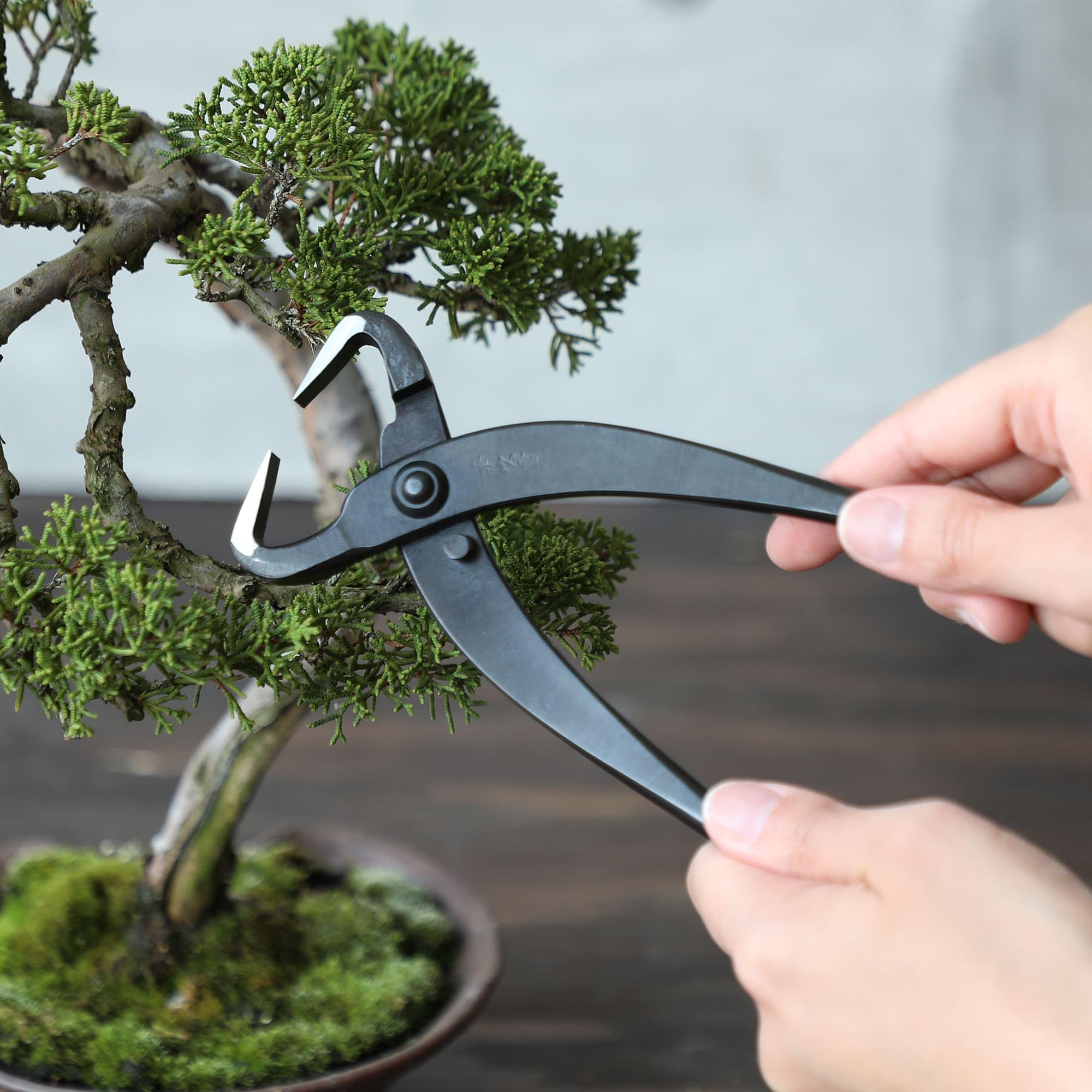 Wazakura Bonsai szczypce do rozłupywania pnia, wyprodukowane w Japonii
