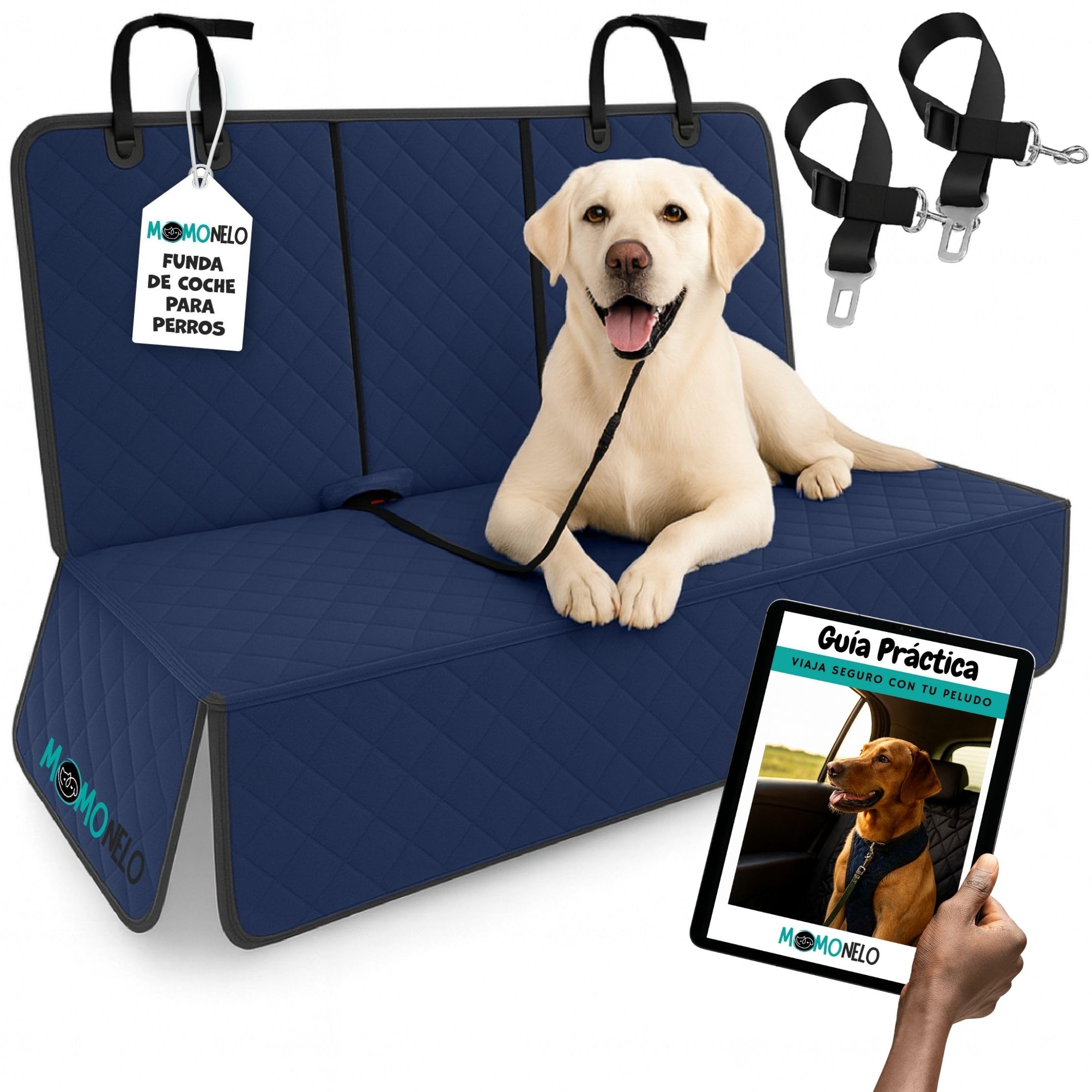 Funda Coche Perro Azul Impermeable + 2 Cinturones