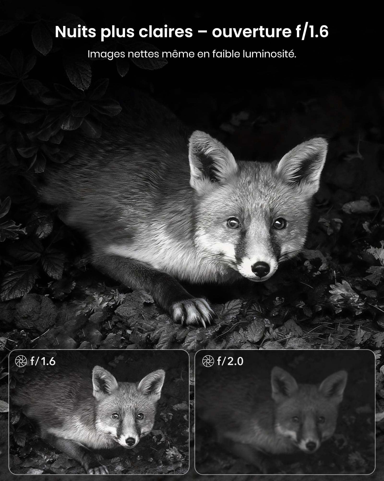 Misstech Caméra de Chasse Solaire 4K 64MP: Contrôle App, sans Abonnement | 0,1s Déclenchement, Vision Nocturne, IP66, Stockage Local, Idéal pour Jardin, Ferme et Observation des Animaux Sauvages