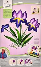 FolkArt, Iris One Stroke Beginner Painting Kit, Includes 5 Colors, 1 Flat Brush, and a Reusable Teaching Guide