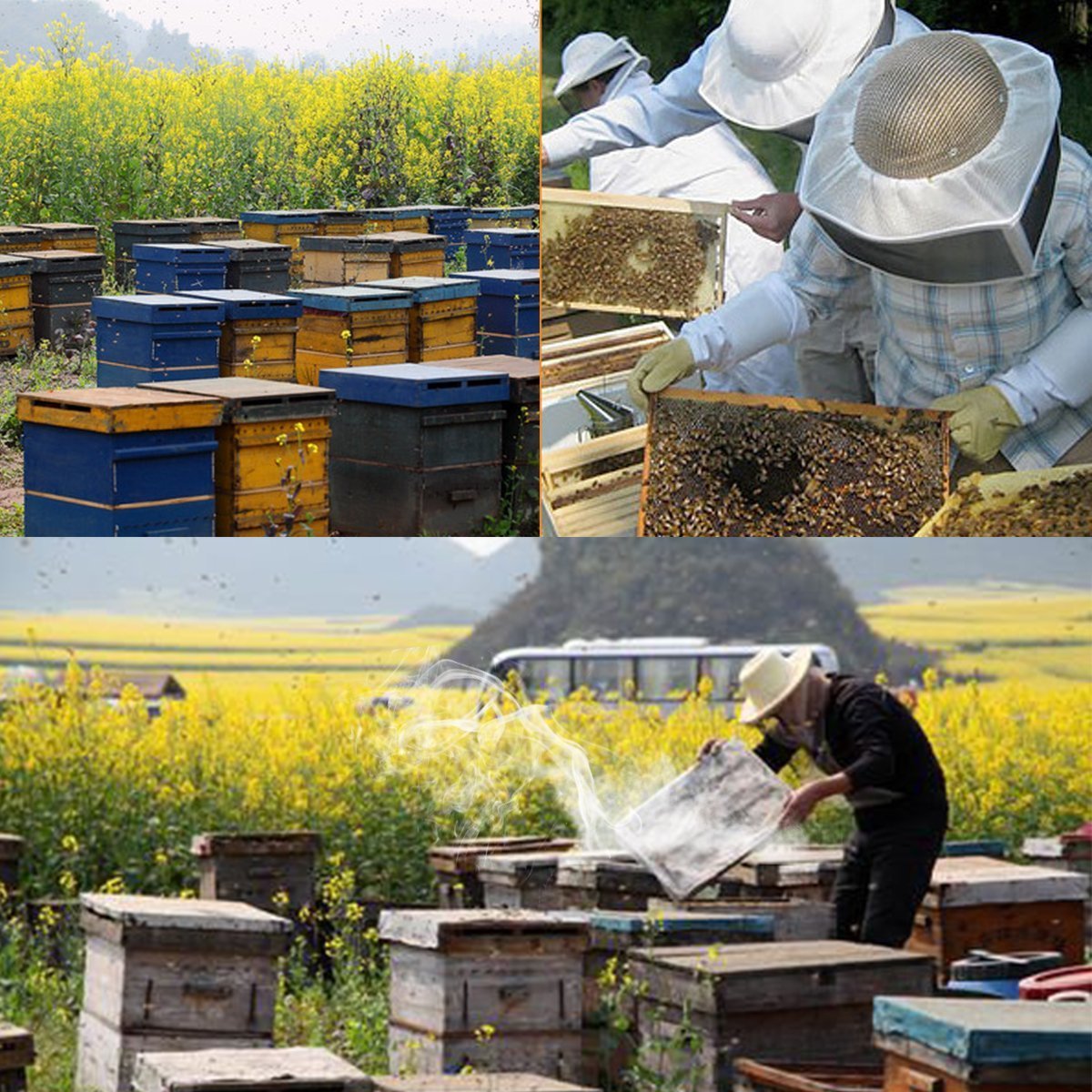 KE11030-Outil D'installation De La Ruche Accessoire D'apiculture D