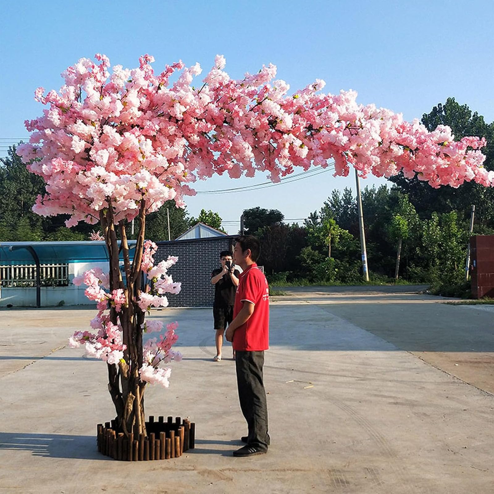 Japanese Pink Cherry Blossoms Trees/Artificial Cherry Blossoms Trees Lifelike Indoor/Outdoor Decor - Beautiful WhiteTall Sakura