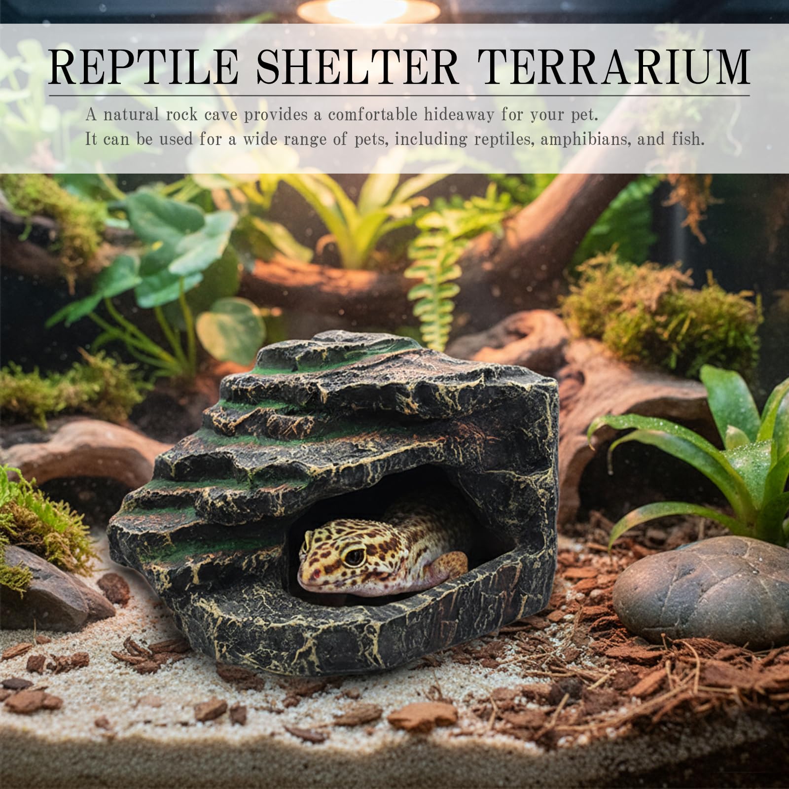 Amazon | Silver ＆ Style 爬虫類 隠れ家 シェルター 角 テラリウム
