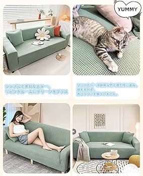 81nItSQLm0L._AC_UF350,