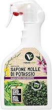 VerdeVivo Sapone Molle Potassico per Piante - 750ml. Sapone Molle di Potassio Naturale - Spray Pronto all'Uso per Orto, Frutta e Piante Ornamentali che Favorisce la Pulizia dalle Infestazioni.