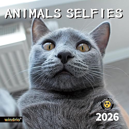 Calendario de pared 2026, Calendario divertido 2026, noviembre de 2025 - diciembre de 2026, calendario de pared con memes divertidos de animales, 12